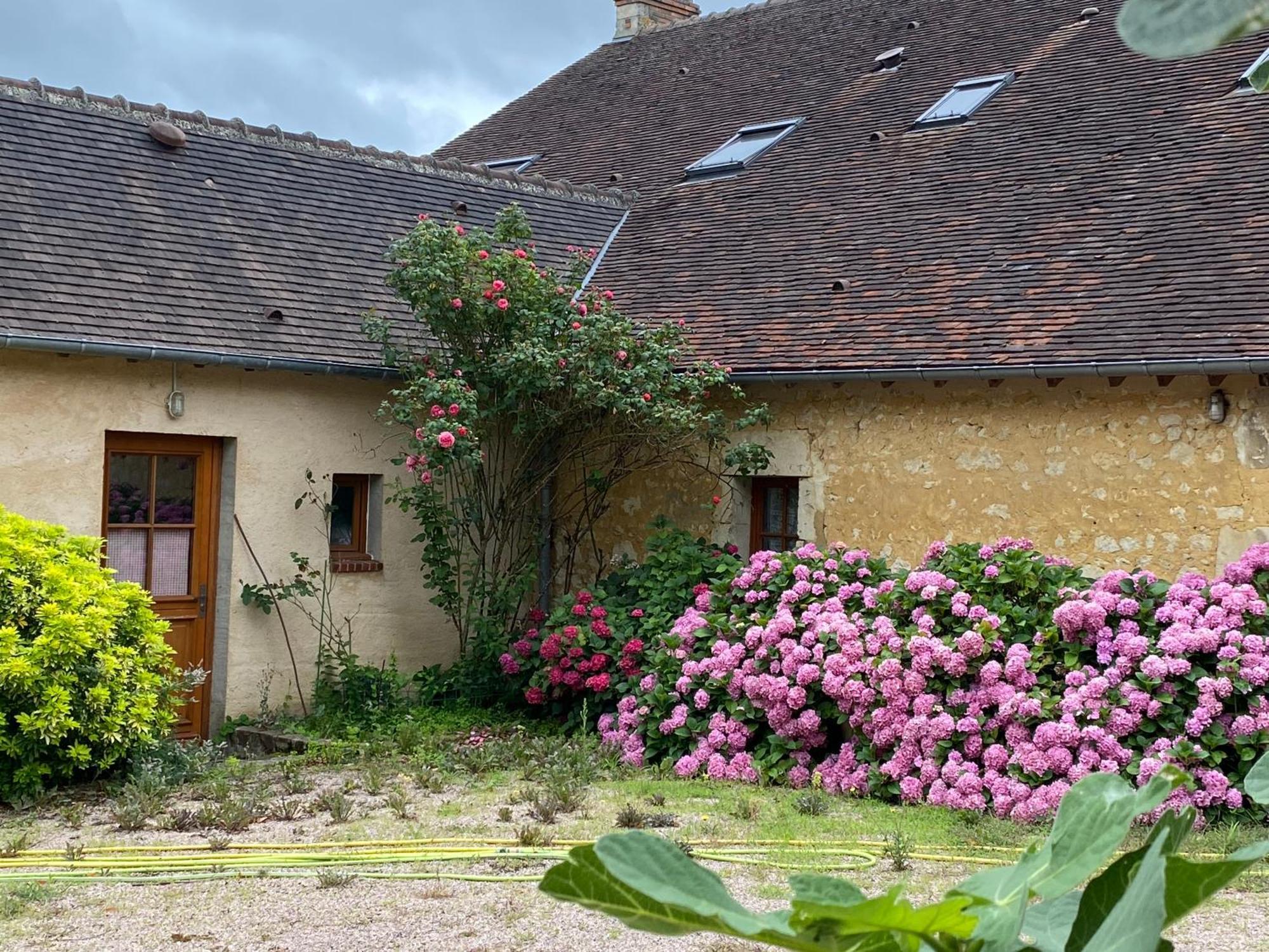 Chambre D'Hotes Du Domaine De La Haute Poignandiere Saint-Germain-de-la-Coudre Exterior photo